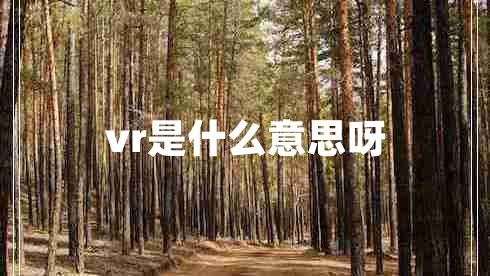 vr是什么意思呀