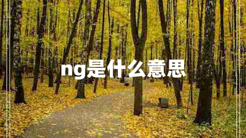 ng是什么意思