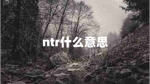 ntr什么意思