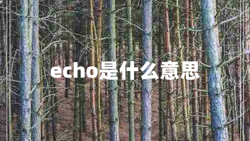 echo是什么意思