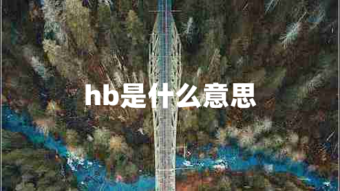 hb是什么意思