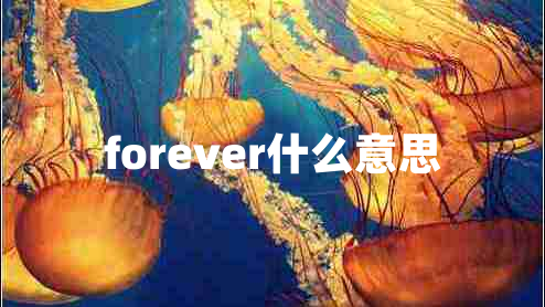 forever什么意思