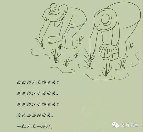 插秧典故