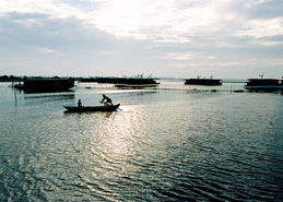 焦岗湖典故