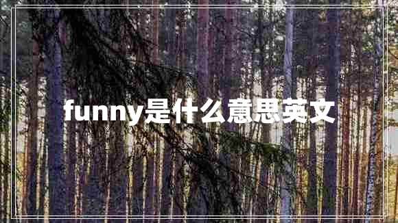 funny是什么意思英文