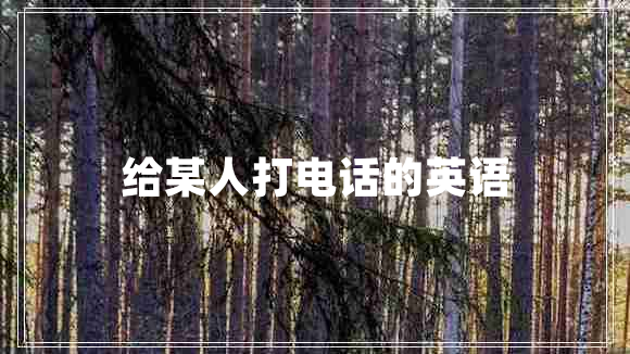 给某人打电话的英语