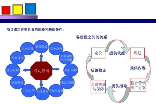 项目策划方案分销