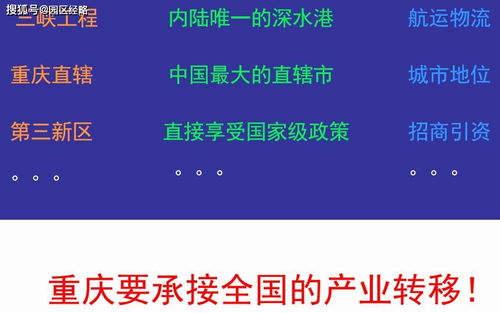 死飞固齿在新乡市场的营销策划方案总结