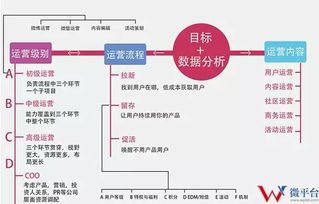 为偶像来了策划新媒体营销方案