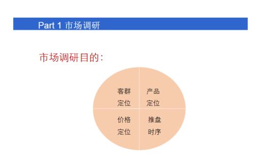 小产权房操盘策划方案