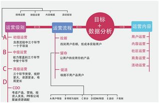 新媒体培训策划方案