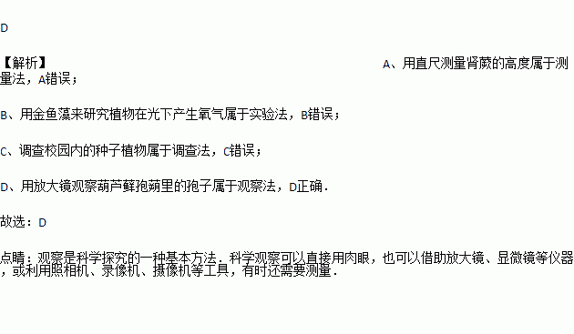 观察法的策划方案