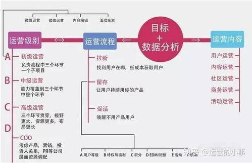 新媒体策划方案怎么写