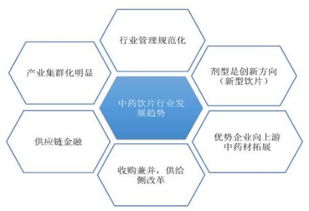 中药饮片终端策划方案