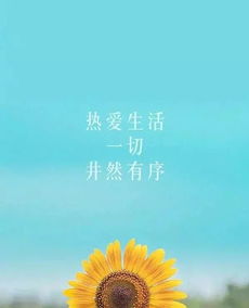 早上发朋友圈的句子正能量幽默,早上满满的正能量句子,早上问好的正能量句子