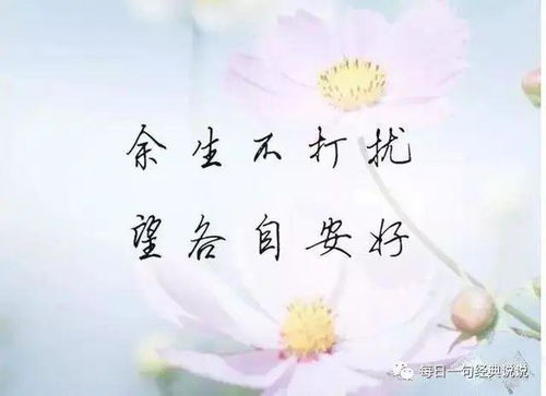 句子,能量,难过