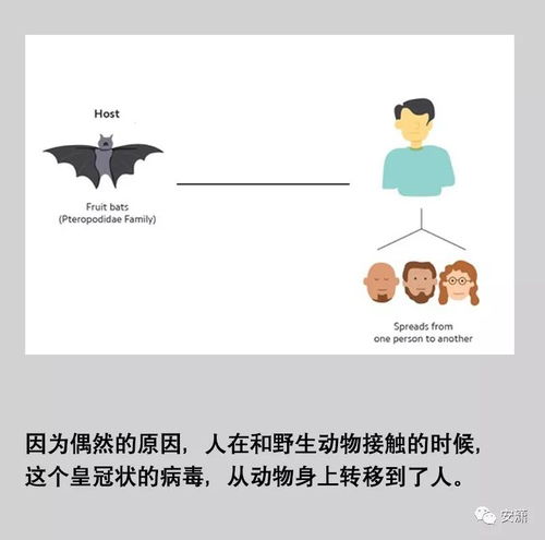 句子,能量,冠状病毒