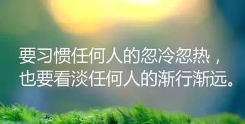 积极正能量的句子经典语句,积极正能量的句子经典语句50字以上,正能量的句子经典语句