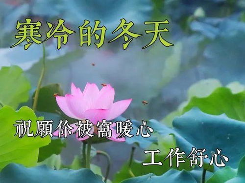 问好,句子,能量,早上