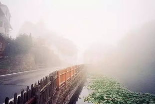 正能量的句子经典长句英语