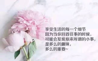 忠于,句子,能量,感情