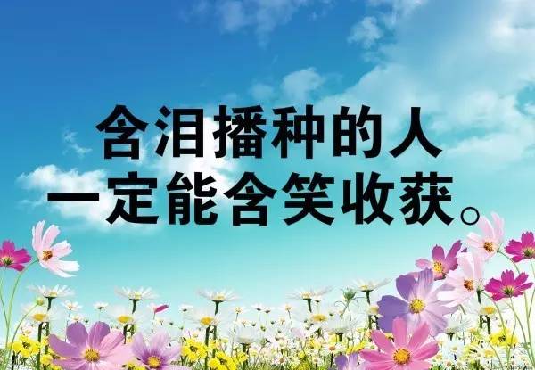 幼儿教师团队精神正能量的句子,送给幼儿教师正能量的句子,幼儿教师积极向上正能量的句子