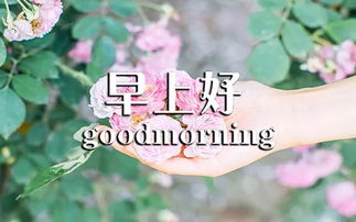 正能量经典句子早安语录经典