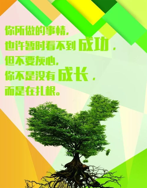 有关心向阳光正能量的句子80句