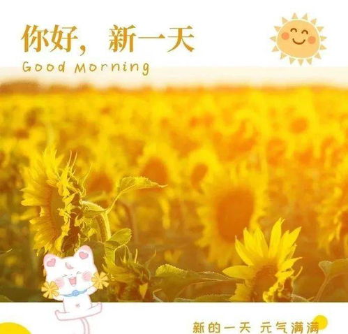 周一正能量的句子经典