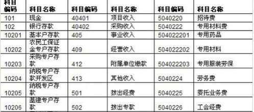 上交教育附加费会计科目怎样做