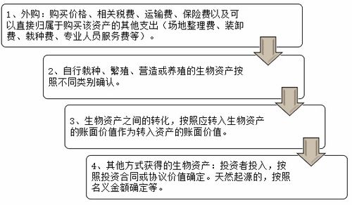 小企业,会计科目,农业