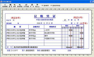 软件可以计入哪个会计科目