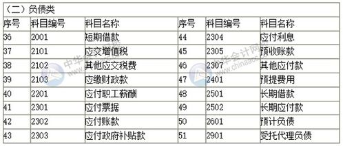 政府会计特有的会计科目,政府会计常用会计科目,政府会计净资产类的会计科目有哪些