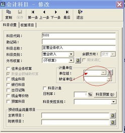 金蝶会计科目计量单位