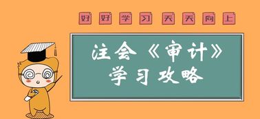 会计科目必须反映什么的特点,企业会计科目必须反映什么的特点,会计科目必须全面反映什么的特点