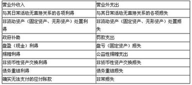 社会团体,捐赠,支出,会计科目