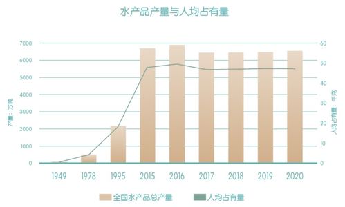 渔业,养殖,会计科目,设置