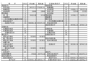 汇总表,会计科目,农业