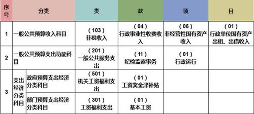 政府收支分类科目和会计科目关系,政府收支分类科目与会计科目区别,政府会计制度预算会计科目