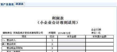 小企业,会计准则,会计科目