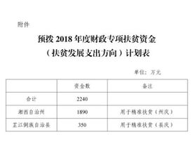 扶贫资助支出进会计科目