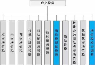 增值税,应交,会计科目,设置