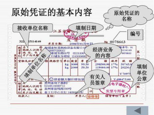 总预算,财政,会计科目,包括