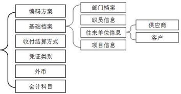 核算,辅助,作用,会计科目