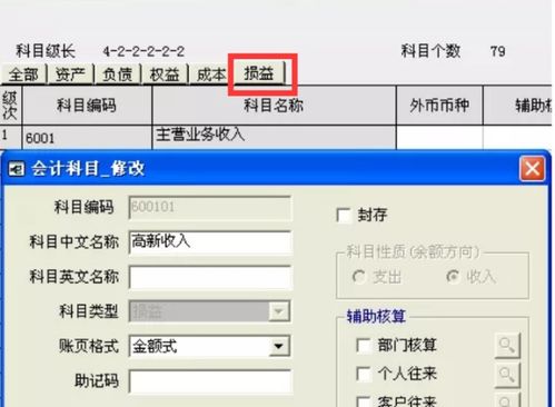 会计科目,设置