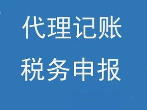 记账,支付,会计科目,代理