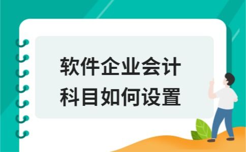 软件,会计科目,销售,企业