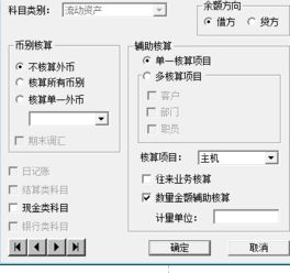 金额,会计科目,购买,软件