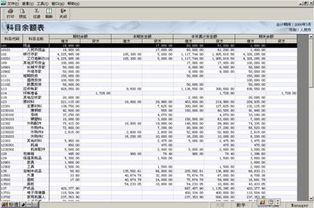 总预算会计科目余额表