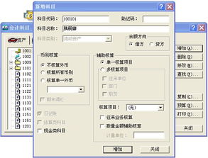 财务软件,会计科目